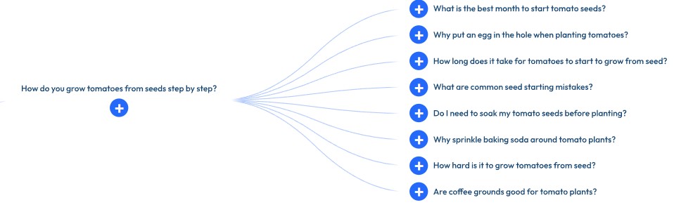 AlsoAsked Search Example