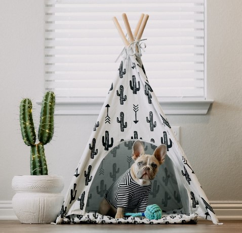 Sub-niche dog beds 