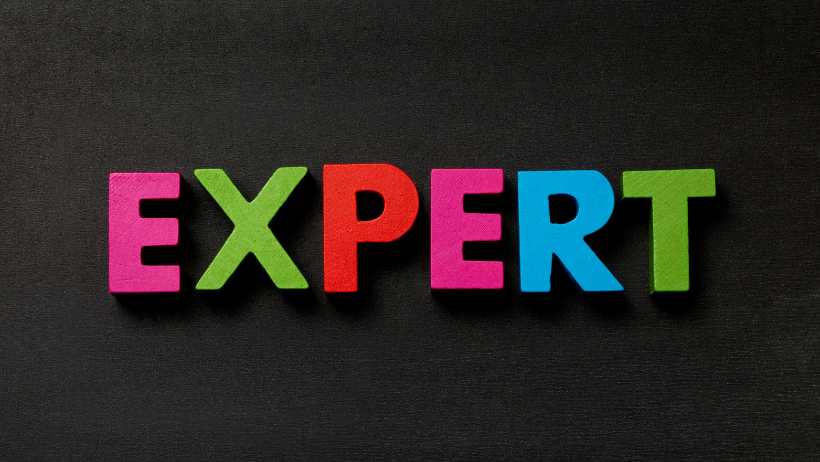 You are the Expert