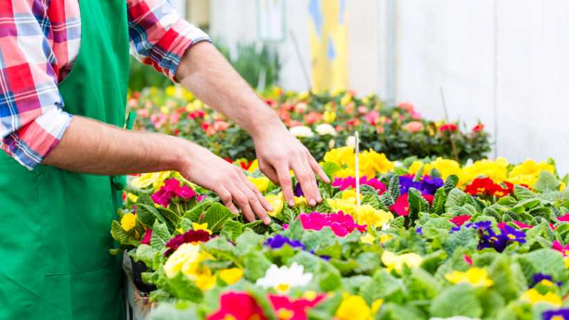 Flower Gardening