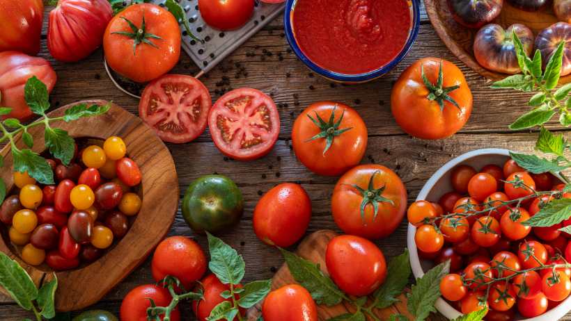 Indoor Vegetable Garden - Tomatoes