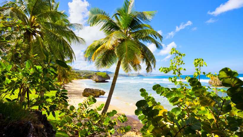 Barbados Beach - Caribbean Islands for Digital Nomads