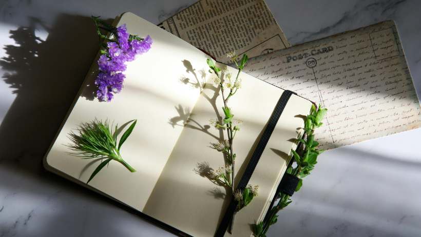 Teach Journaling Online