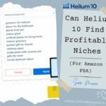 Can Helium 10 Find Profitable Niches