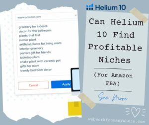 Can Helium 10 Find Profitable Niches
