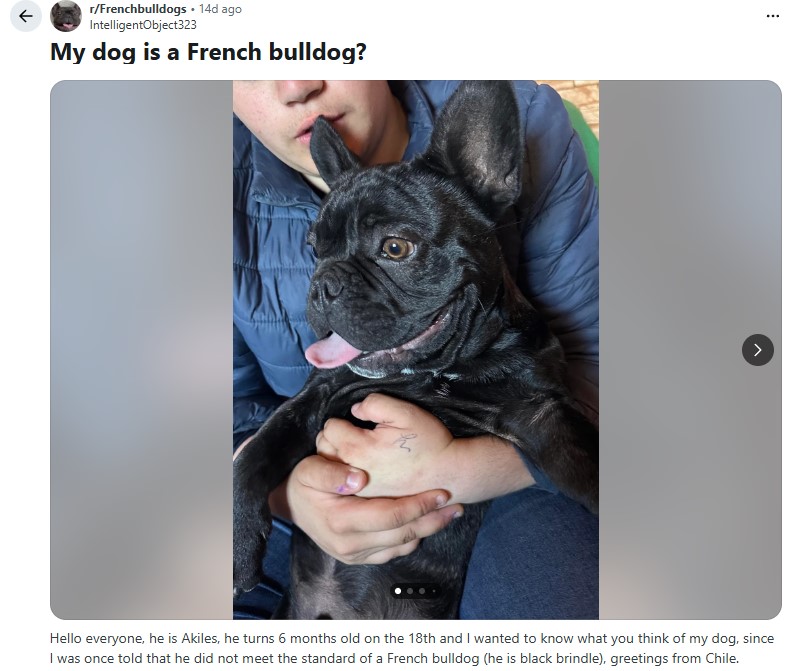 Social Media Reddit questions for ideas