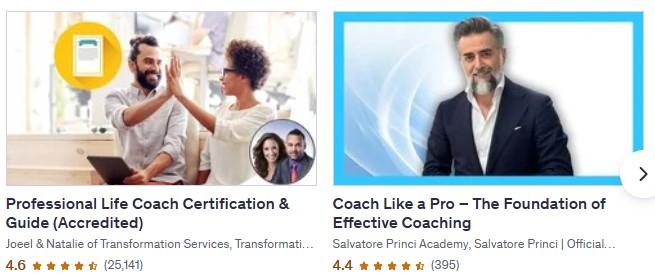 Udemy Life Coaching Courses - Beginners Guide to Sharing Your Skills Online