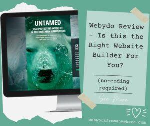 Webydo Review