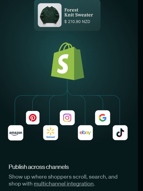 Shopify Review for beginners - social media integration