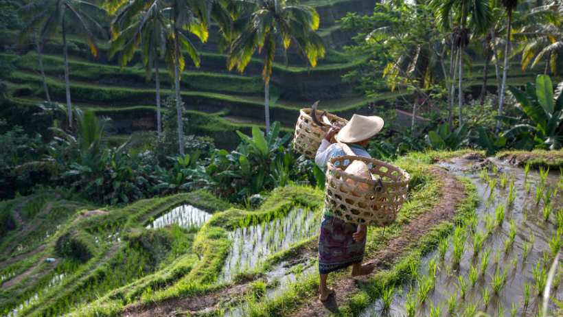 Bali for Digital Nomads over 50